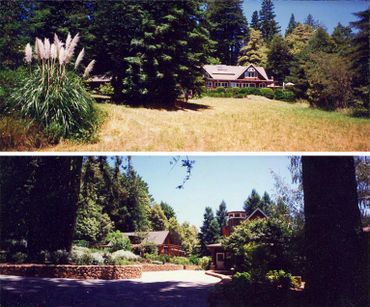 main house, driveway, redwood ranch, california golden meadow