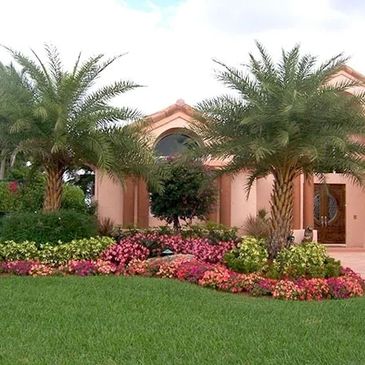 Elegant house with palm trees and colorful flower beds in front yard.