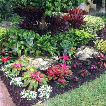 A vibrant garden bed with colorful bromeliads and lush greenery beside a brick path.