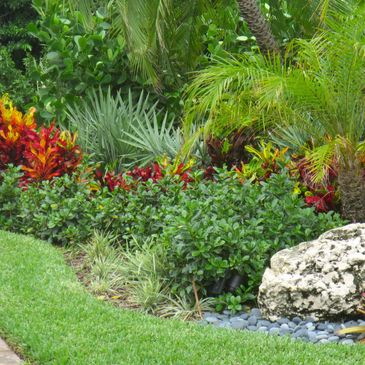 A vibrant tropical garden with colorful foliage and decorative rocks.