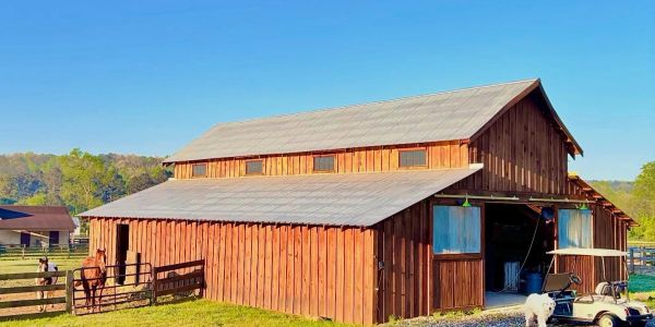 A rustic wooden barn under clear blue sky with horses and a golf cart nearby.