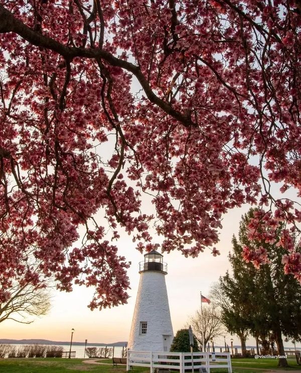 NextHome Forward agent LaKeta Burgess Northern Maryland real estate expert,Buying & selling, realtor