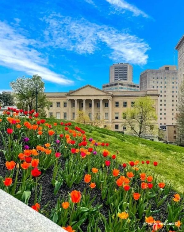 Real estate agent LaKeta Burgess | Relocation, buying & selling in NOVA & Hampton Roads VA, northern