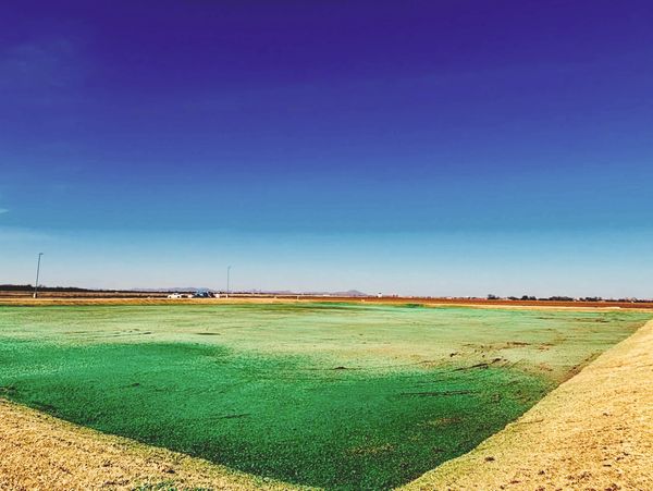 Retention Pond Construction and Management