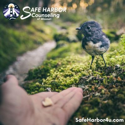 Small bird approaching an open hand in a mossy forest