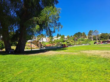 Sunny park with lush green grass and people enjoying outdoors.