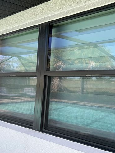 A window reflecting a pool and palm trees outside.