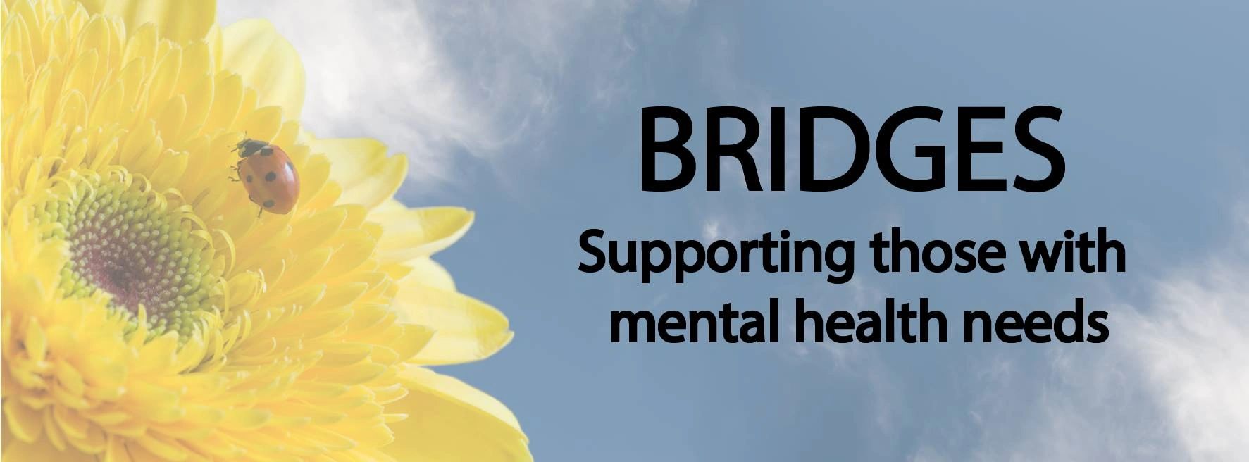 Yellow flower with a ladybug, against a blue sky. BRIDGES Supporting those with mental health needs.