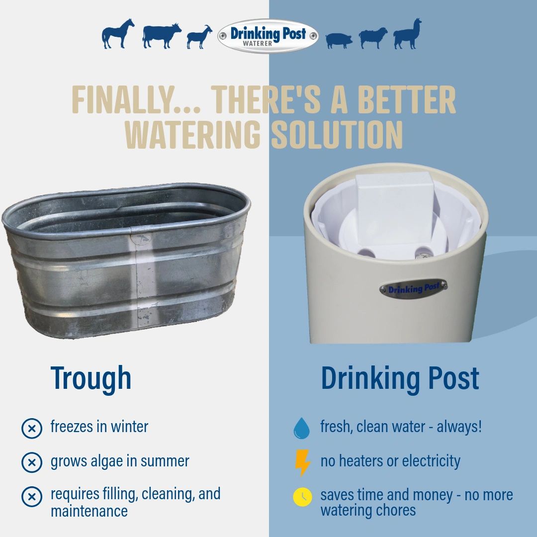 Drinking Post Waterer