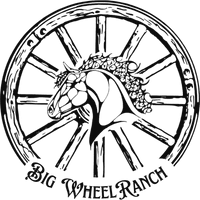 Big Wheel Ranch