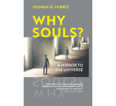 Book cover with endless mirrored figures beneath bold yellow “Why Souls?” title by Joshua R. Farris.