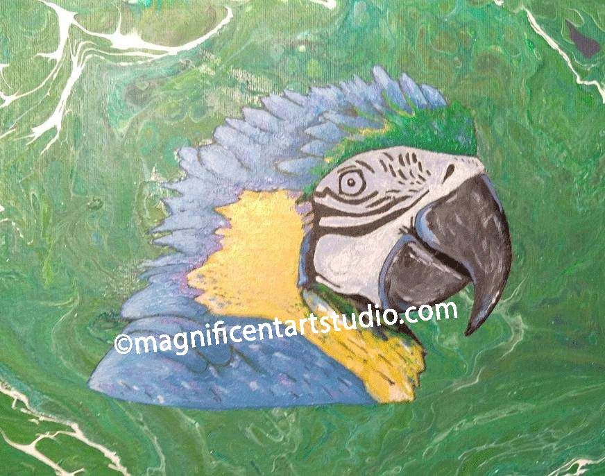 Blue & Gold Macaw
8" x 10"
Acrylic Hard Body Over
Acrylic Paint Pour On Canvas
Acrylic on Canvas Boa