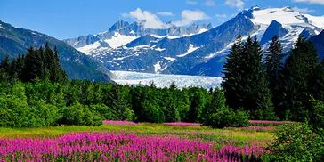 A serene landscape featuring mountains, a lake, and a clear blue sky.