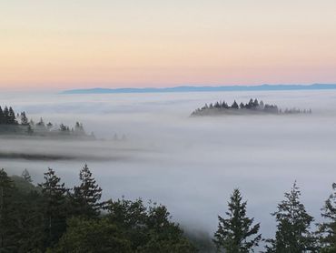 Colorful views of the sunset over cloud in the forest