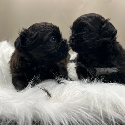 Wilder and Winnie