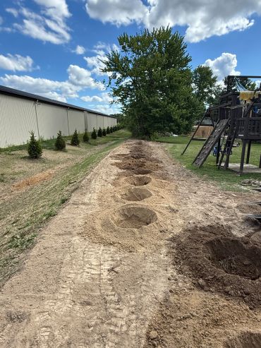 Line of freshly dug holes for planting trees.