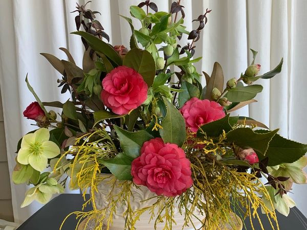 Holiday arrangement featuring Camellias, Lenten Rose, magnolia leaves, and local greens.