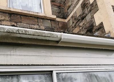 Guttering and soffit and fascia cleaning.