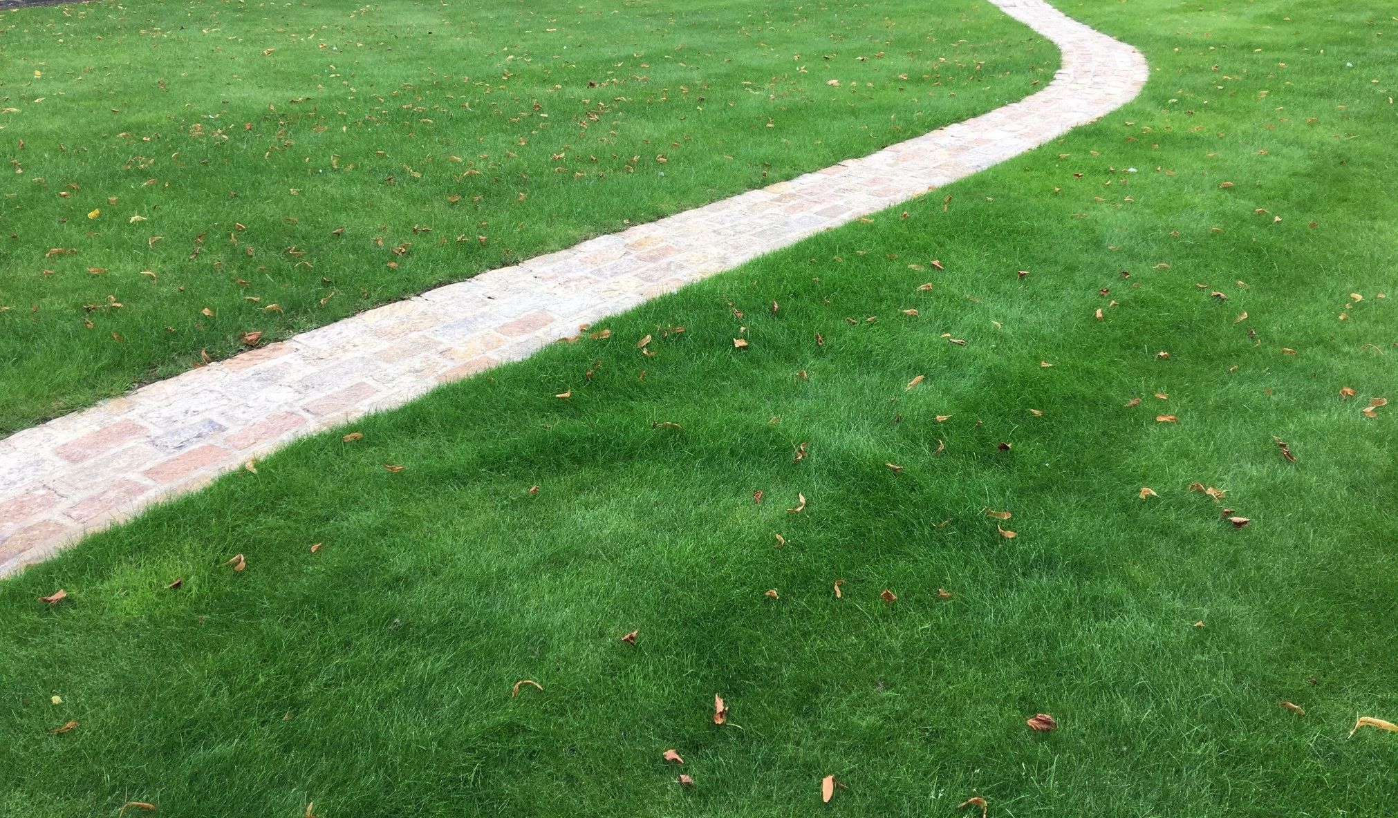 Leeds Lawn Care provides lush, green, weed free lawns all around Leeds.