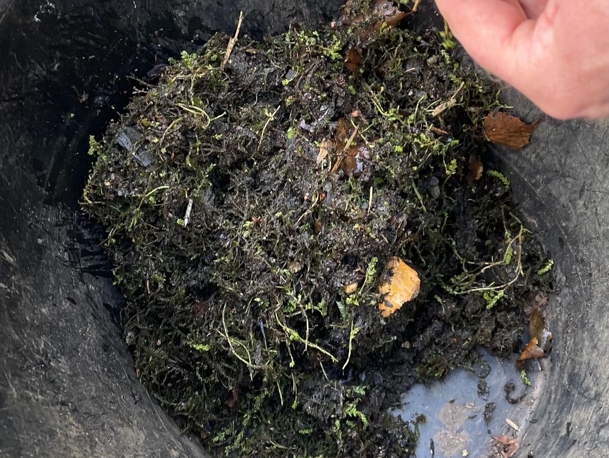 Sludge and plant matter from gutter cleaning.