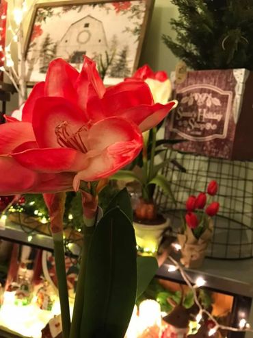 christmas decorating