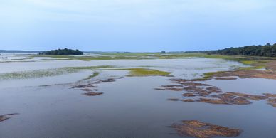 Views of the Marsh on Kiawah Island, SC