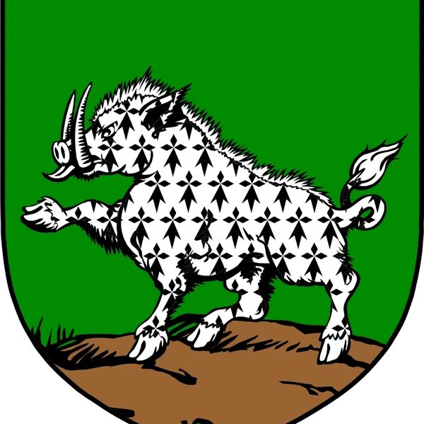 Heraldic boar with patterned body on green background.