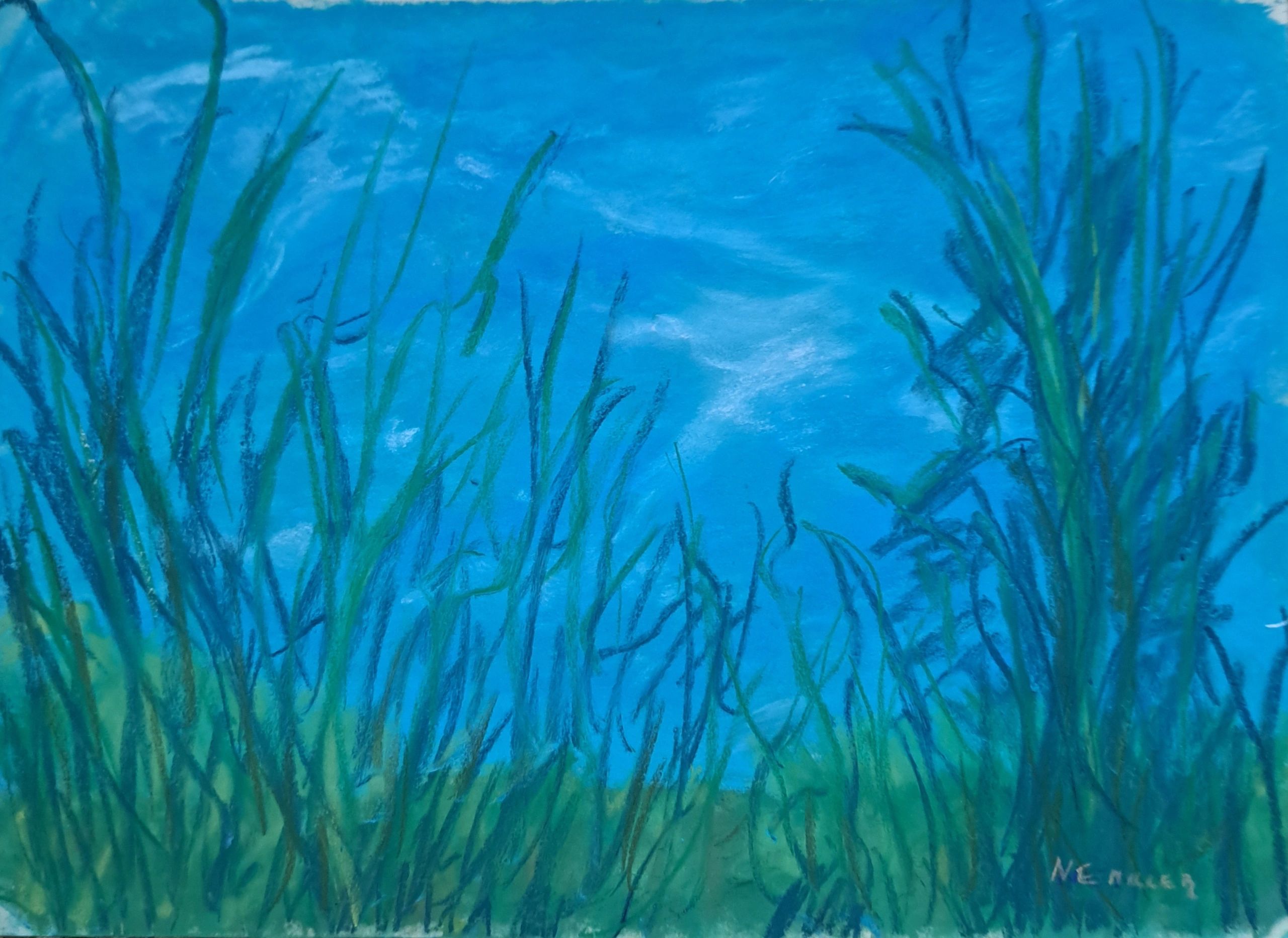 bucks county, blue sky, grass, nature scene, nancyemillerbuckscountyartist