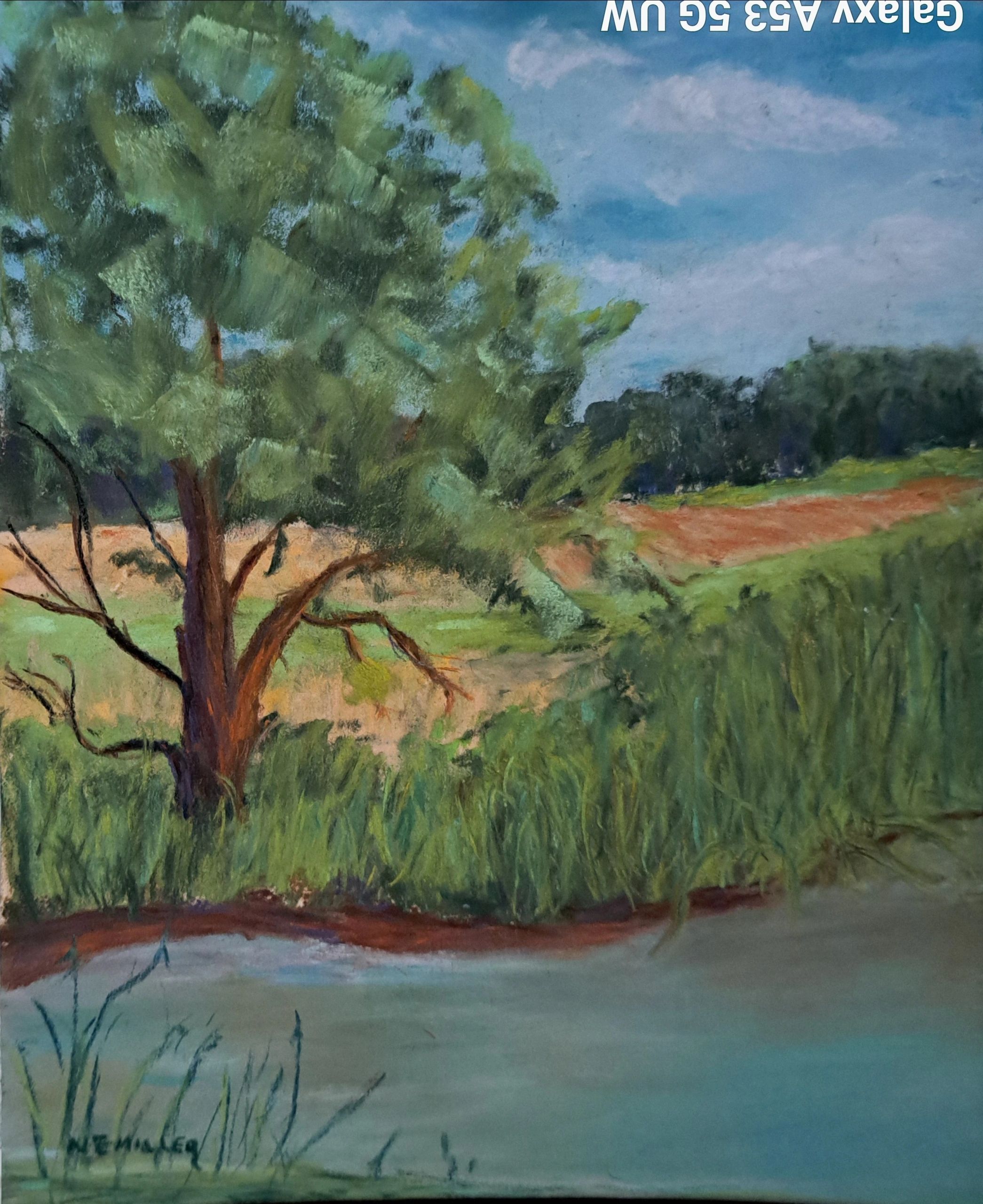 NewtownPA, pastelscene, pastel landscapedbuckscounty, buckscountypa,nancyemilerbuckscounty artist