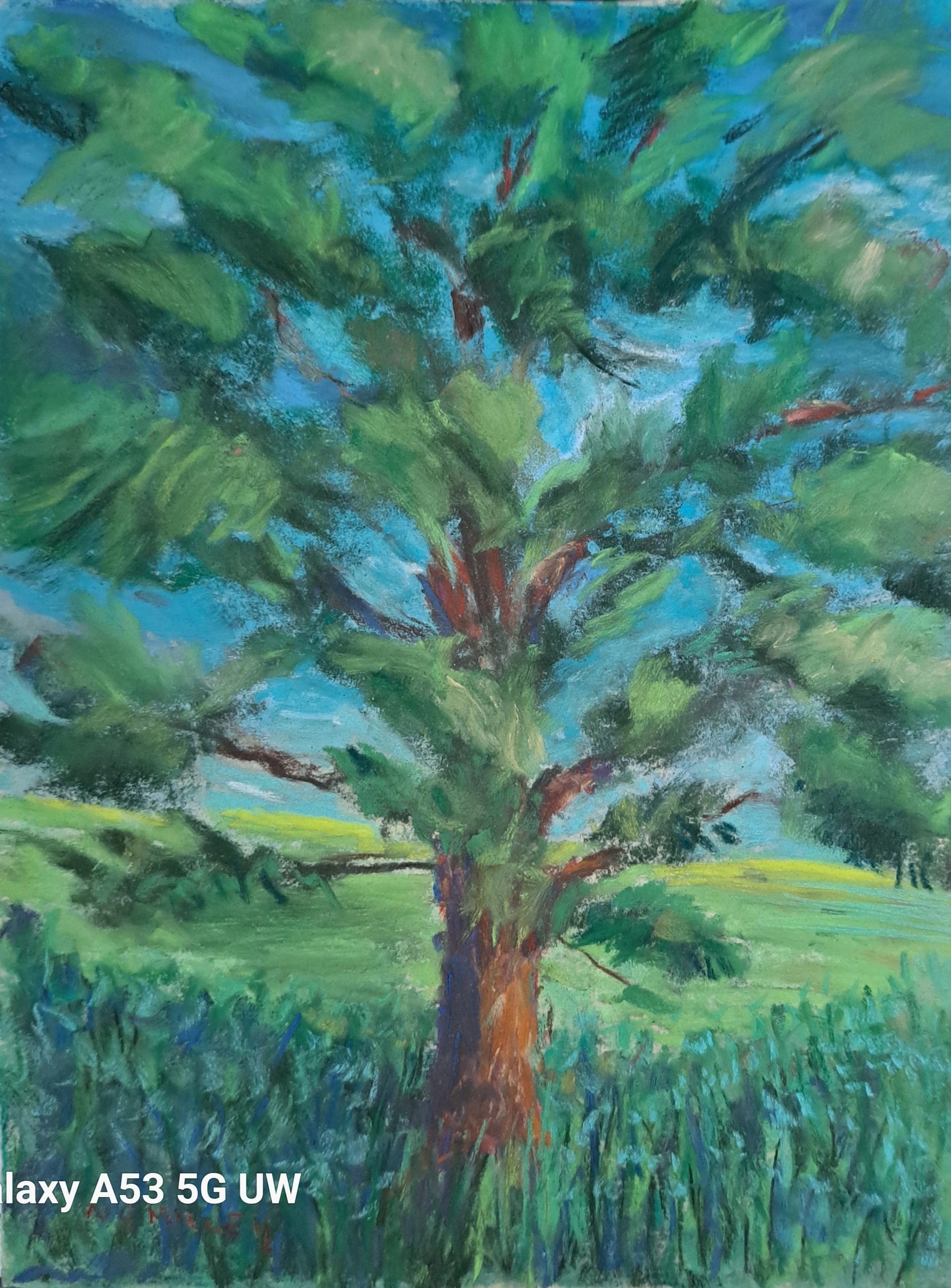 pastel tree, pastel field, nancyemillerpastelartist, nancyemillerphillipsmillartist