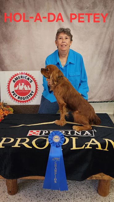 HOL-A-DA PETEY IS NOW FOR SALE. HE IS A LOVABLE BABY.