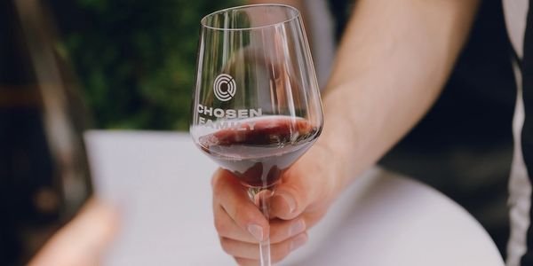 A person holding a wine glass with red wine, labeled 'Chosen Family'.