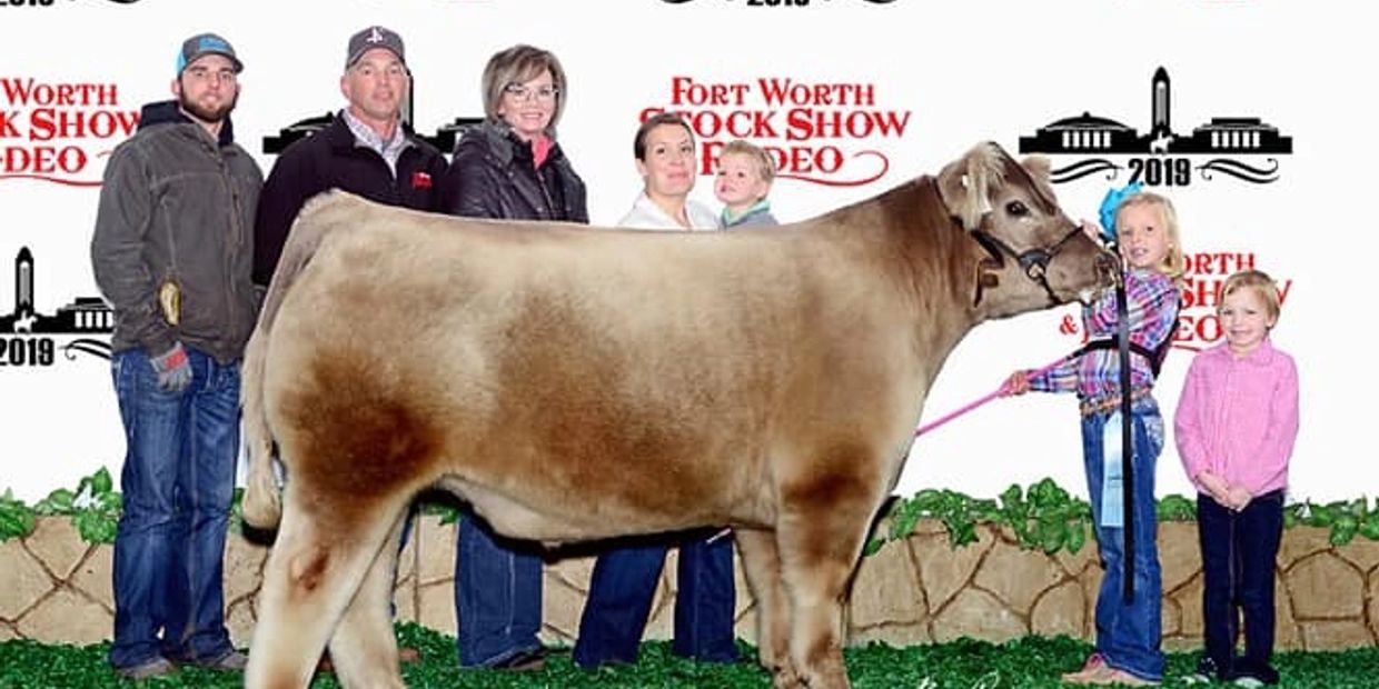 Our granddaughter showing her steer and making the brand at 2019 Steer Show in Ft Worth!