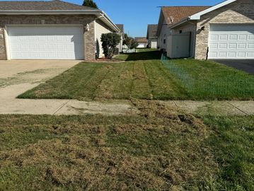 Removal of an unhealthy amount of thatch