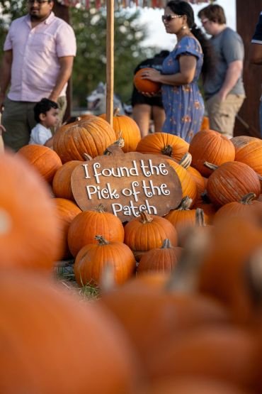 A pumpkin patch scene with a sign and people in the background.