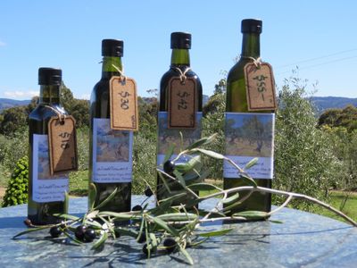 Windflowers Olive Oil