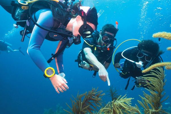 scuba certification miami