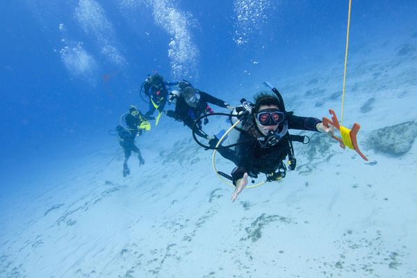dive classes miami