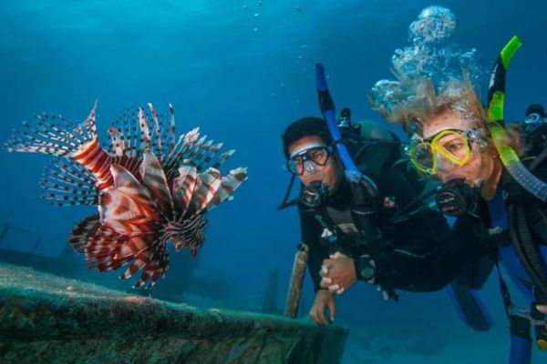scuba diving lessons miami
