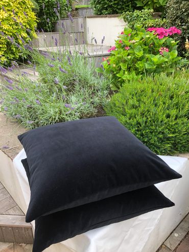 Black Velvet Cushions