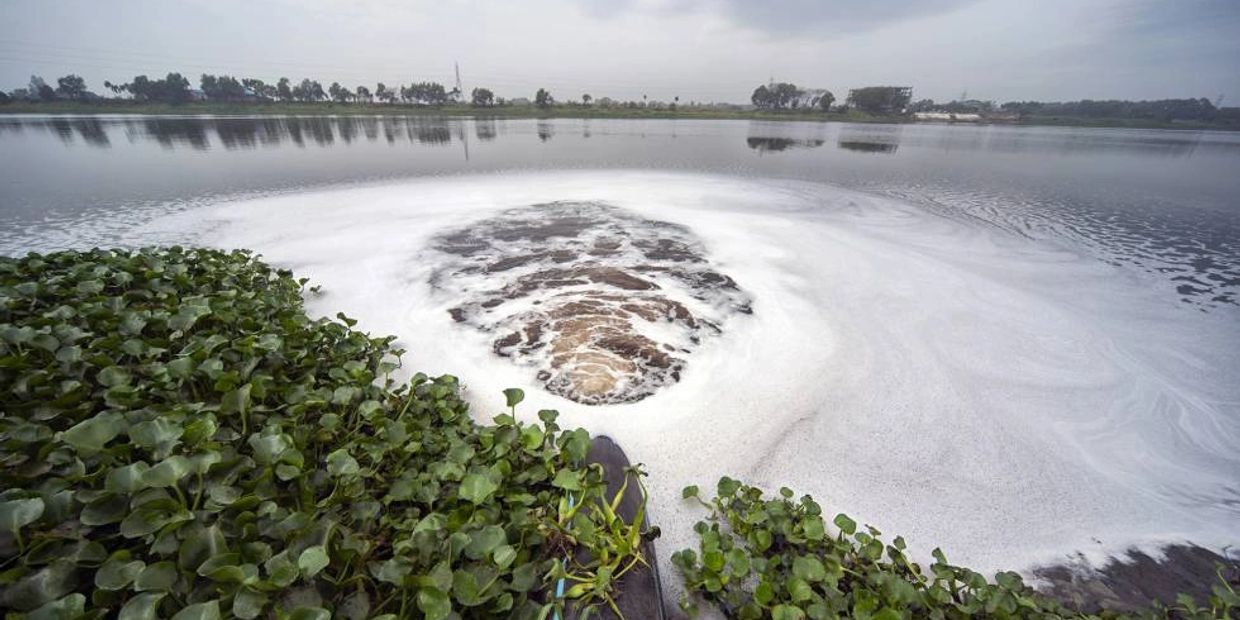 Desserto cactus leather