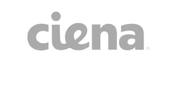 Quantum-Secured Optical Networks