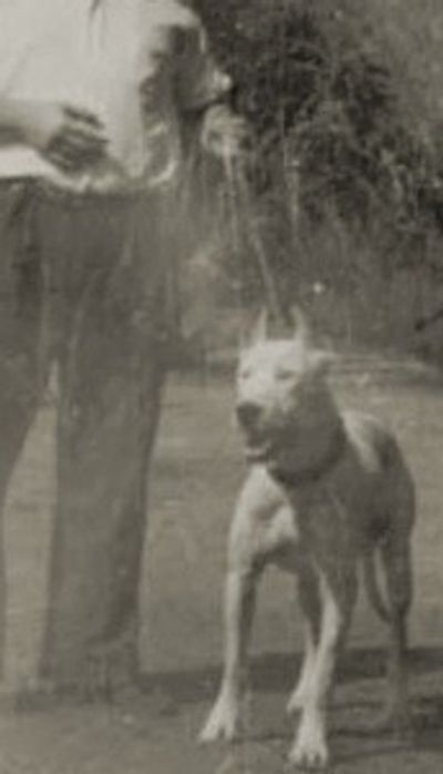 Antonio Nores-Martinez & Ney.