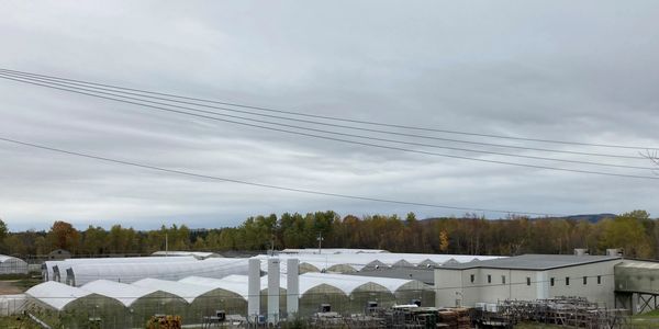 Greenhouses in Falmouth, NS