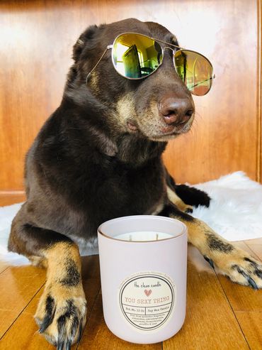 Dog wearing sunglasses next to a candle on a wooden floor.