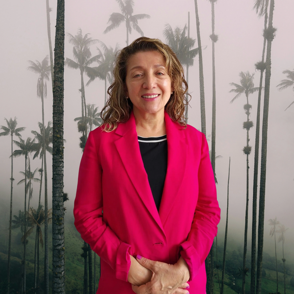 Surrogacy lawyer, Real Estate and Business solutions in Colombia