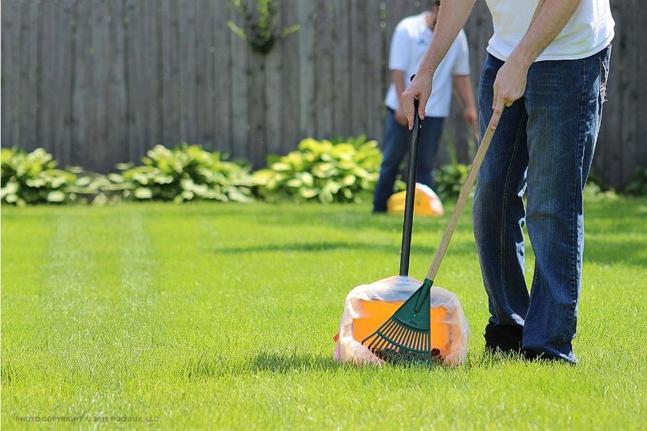 Person picking up dog poop, pet waste removal service