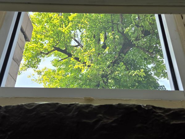 Window tinting services providing added  safety for churches and loved ones using 3M Security Film.
