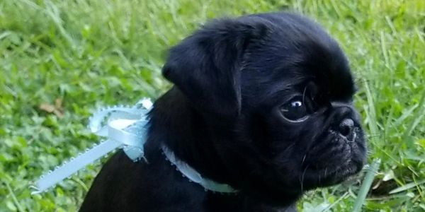 He's a handsome little boy.