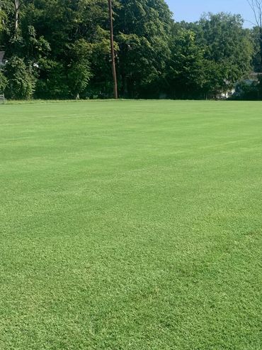 New irrigation/ regraded